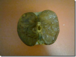 rotten apple